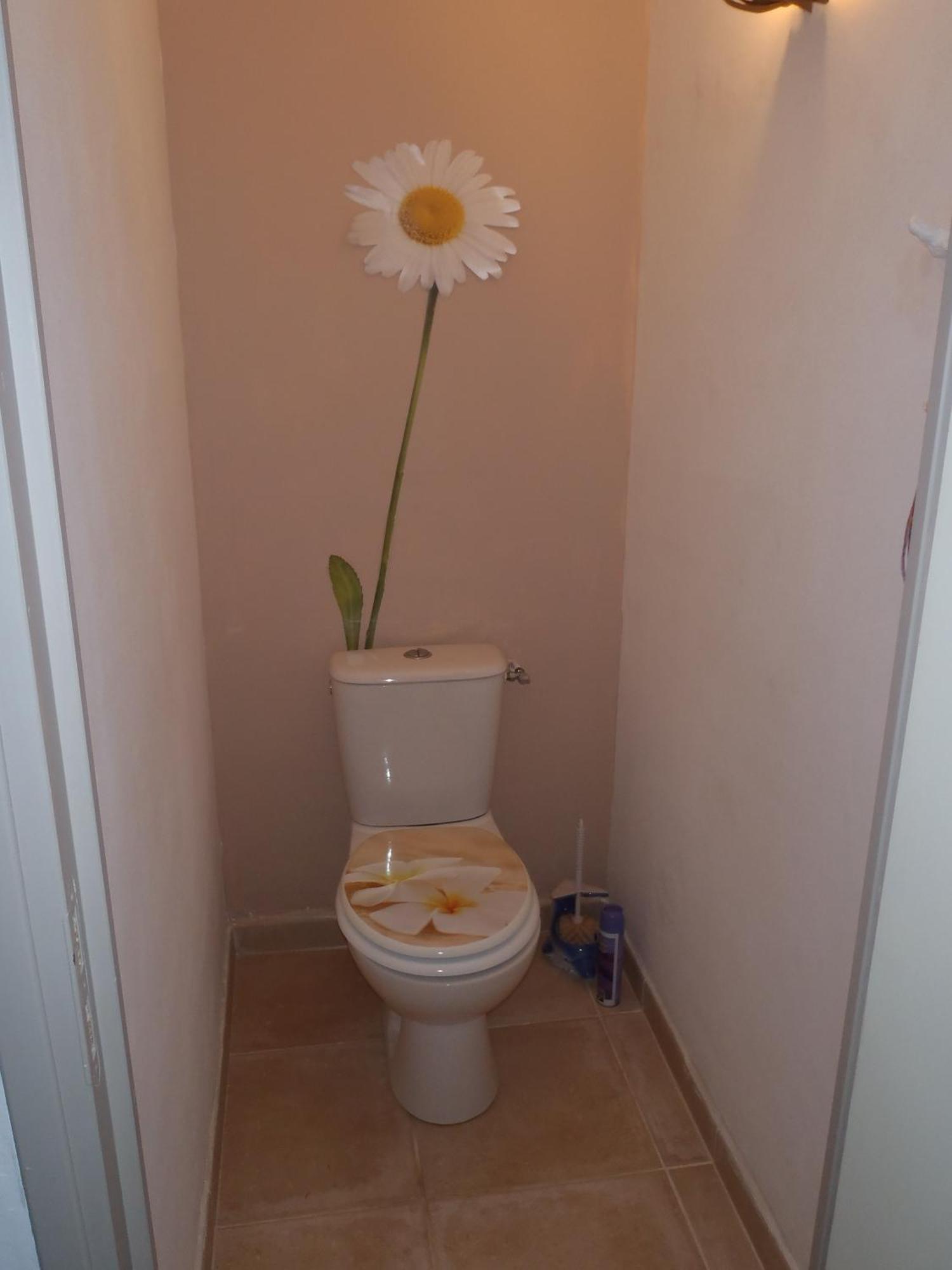 Les Chevrefeuilles Apartment Маноск Стая снимка